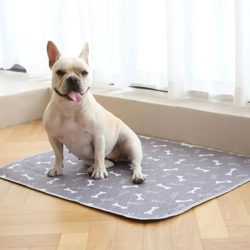 Canily™ - Le seul tapis hygiénique dont vous aurez besoin